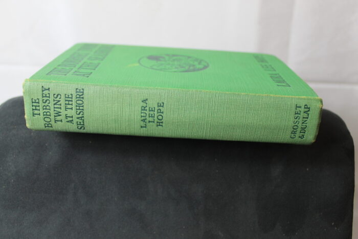 Book “The Bobbsey Twins At the Seashore” by Laura Lee Hope circa 1907 - Image 3